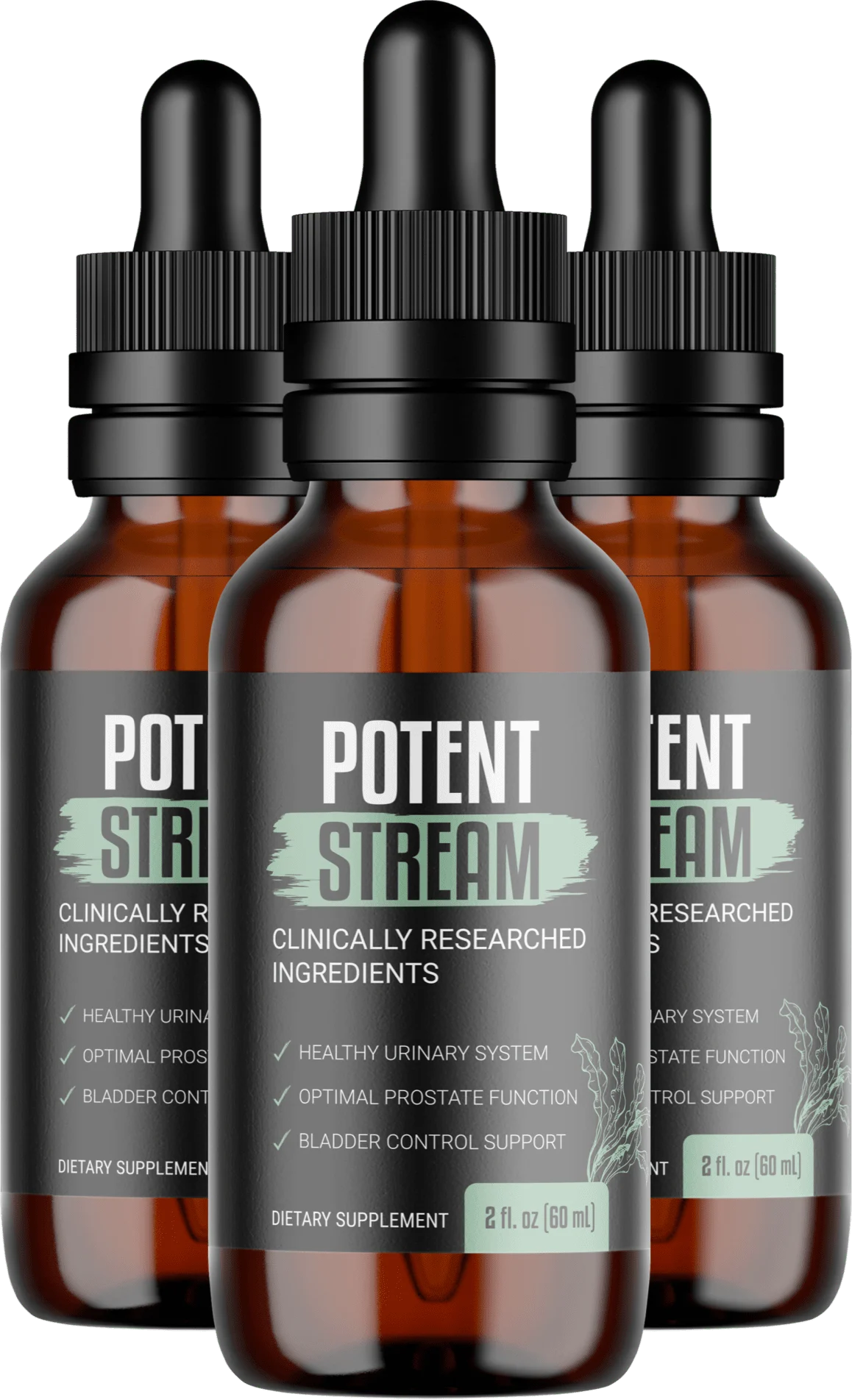 potentstream 3 Bottles